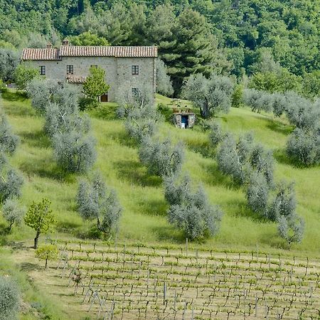 Agriturismo Bindozzino Castiglione d'Orcia Exterior photo