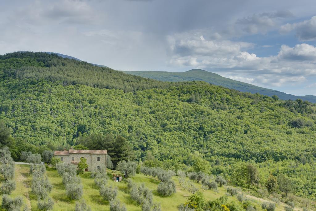 Agriturismo Bindozzino Castiglione d'Orcia Exterior photo